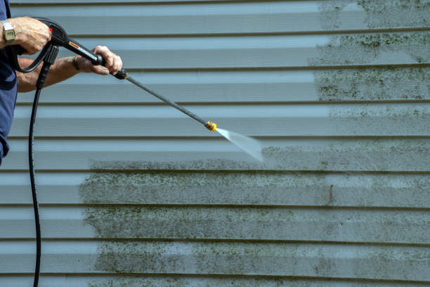 Best Vinyl Siding Pressure Washing in USA